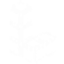 LandingLens